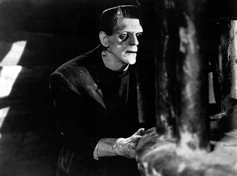 Frankenstein! A Story of Science Run Amuck and a Monster Born From Grief?